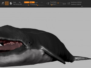 blue whale 3D Model