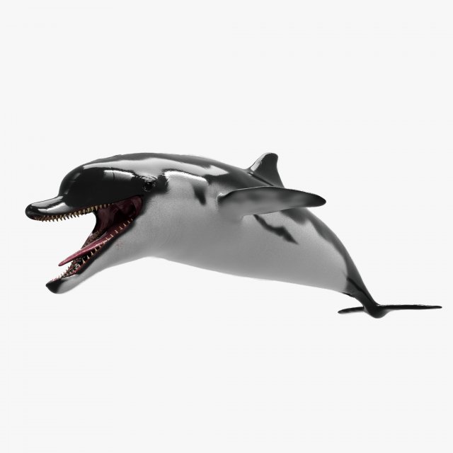 dolphin sculpt Modello 3D .c4d .max .obj .3ds .fbx .stl .blend 