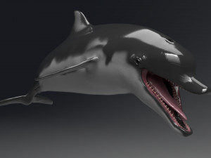 dolphin sculpt Modello 3D
