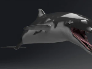 dolphin sculpt 3D Model
