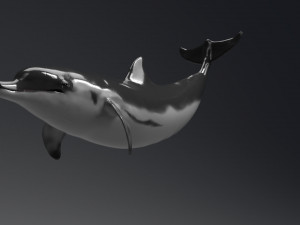 dolphin sculpt Modello 3D