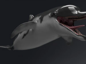 dolphin sculpt 3D Model