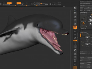 dolphin sculpt Modello 3D