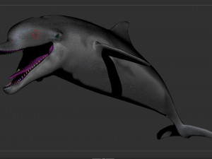dolphin sculpt Modello 3D
