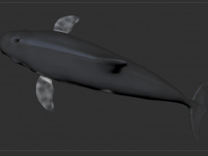 dolphin sculpt Modello 3D