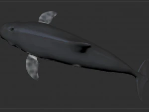 dolphin sculpt 3D Model