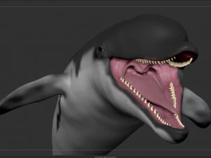 dolphin sculpt 3D Model
