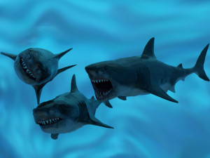 check out my new a great white shatk sculpt 3D Model