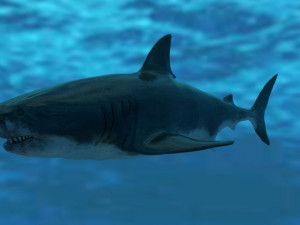 check out my new a great white shatk sculpt 3D Модель