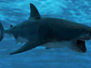 check out my new a great white shatk sculpt 3D Модель