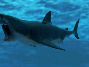 check out my new a great white shatk sculpt 3D Модель