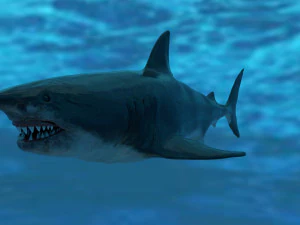check out my new a great white shatk sculpt 3D Model