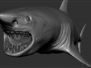 check out my new a great white shatk sculpt 3D Модель