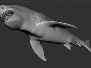 check out my new a great white shatk sculpt 3D Модель