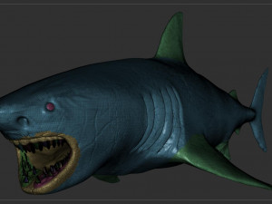 check out my new a great white shatk sculpt 3D Модель