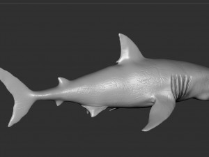 check out my new a great white shatk sculpt 3D Модель