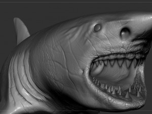check out my new a great white shatk sculpt 3D Модель