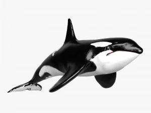 patung paus pembunuh Model 3D