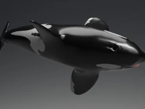 killer whale sculpt 3D Model