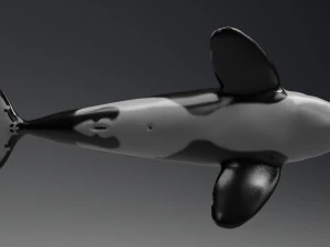 killer whale sculpt 3D Model