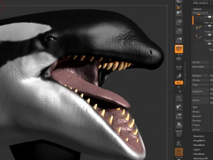 killer whale sculpt 3D Model