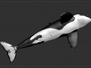 killer whale sculpt 3D 模型