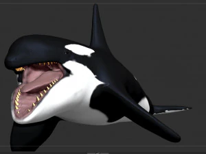 killer whale sculpt 3D Model