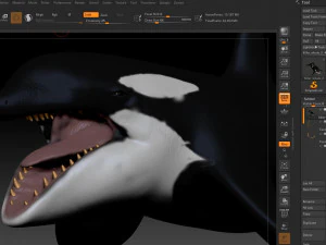 killer whale sculpt 3D Model