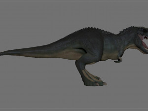 v rex sculpt projects 3D 모델