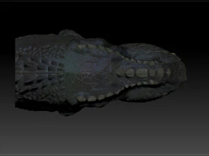 v rex head sculpt project 3D Model