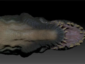 v rex head sculpt project 3D Model