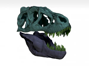 tarbosaurus skull sculpt project 3D Model