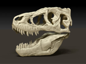 tarbosaurus skull sculpt project Modelo 3D