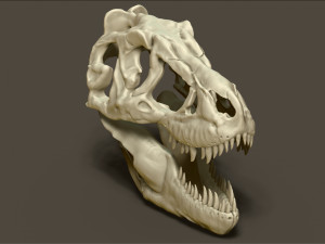 tarbosaurus skull sculpt project Modelo 3D