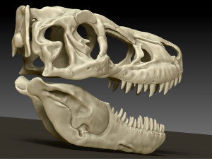 tarbosaurus skull sculpt project Modelo 3D