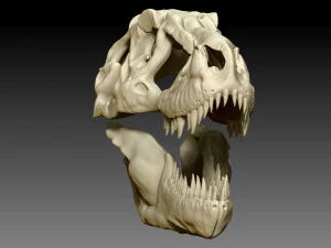 tarbosaurus skull sculpt project 3D Model
