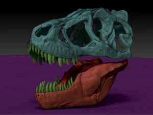 tarbosaurus skull sculpt project 3D Model