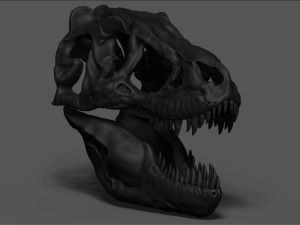 tarbosaurus skull sculpt project Modelo 3D