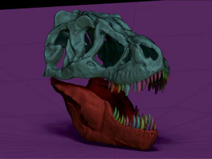 tarbosaurus skull sculpt project 3D Model