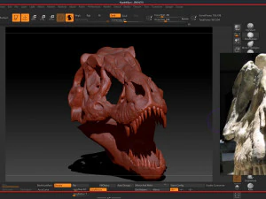 tarbosaurus skull sculpt project 3D Model