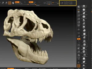 tarbosaurus skull sculpt project 3D Model