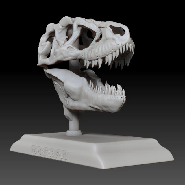 tarbosaurus skull 3d printable model 3D Print Model .c4d .max .obj .3ds .fbx .stl .blend 