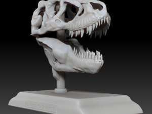 tarbosaurus skull 3d printable model 3D Print Model