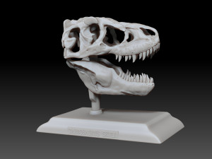 tarbosaurus skull 3d printable model 3D-printmodel