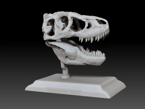tarbosaurus skull 3d printable model 3D Print Model