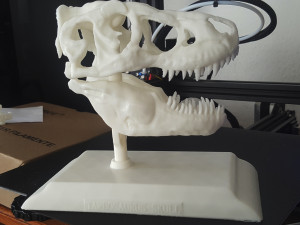 tarbosaurus skull 3d printable model 3D-printmodel