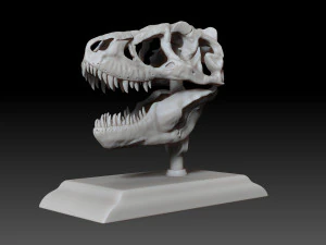tarbosaurus skull 3d printable model 3D Print Model