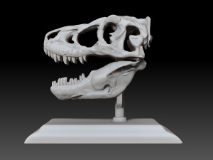tarbosaurus skull 3d printable model 3D-printmodel