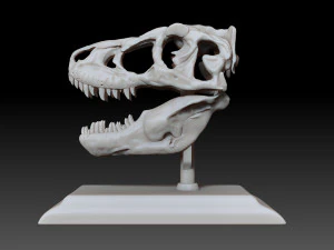 tarbosaurus skull 3d printable model 3D Print Model