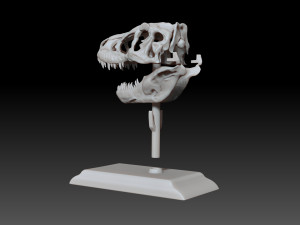 tarbosaurus skull 3d printable model 3D-printmodel